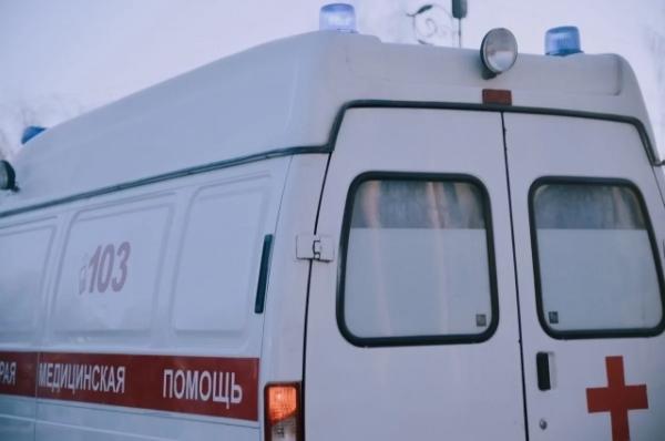 В Самарской области пять человек пострадали при обрушении сидений в цирке
В Самарской области пять человек пострадали при обрушении сидений в цирке