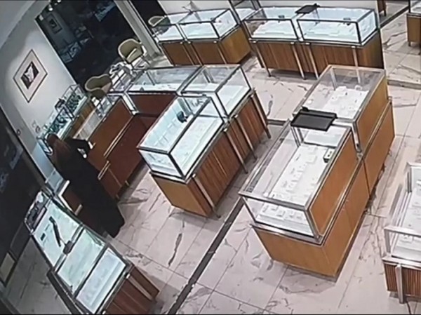 Задержаны организаторы кражи драгоценностей на 22 миллиона из ювелирного магазина Задержаны организаторы кражи драгоценностей на 22 миллиона из ювелирного магазина