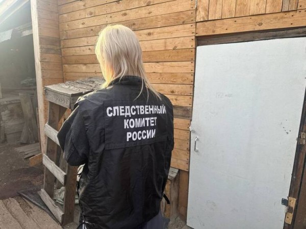 Многодетная мать зарубила топором троих малышей: что известно о кошмарном детоубийстве Многодетная мать зарубила топором троих малышей: что известно о кошмарном детоубийстве