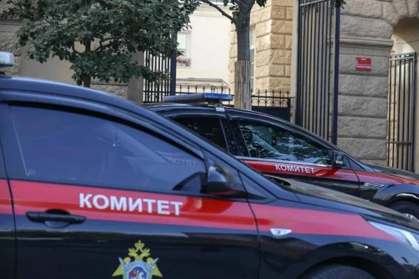 Расследование дела Логиновой и Патоки о торговле детьми завершено 