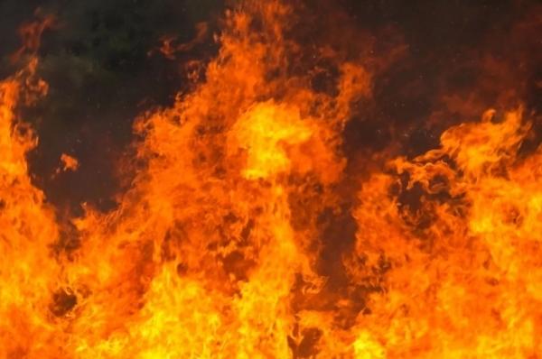 В частных домах двух регионов вспыхнули пожары, погиб человек
В частных домах двух регионов вспыхнули пожары, погиб человек