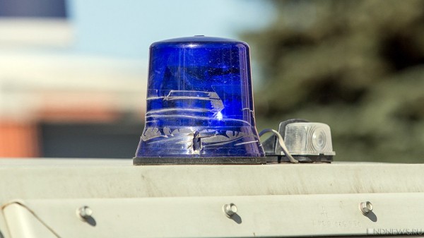В Сиднее при стрельбе на пляже погибли 12 человек