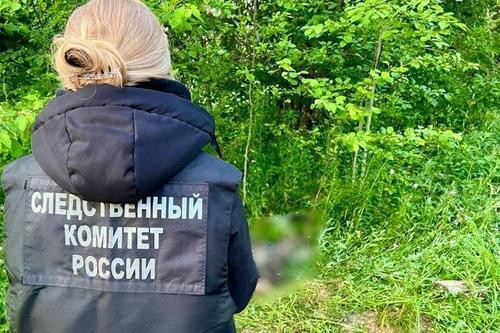 Охота, закончившаяся трагедией: вологжанин застрелил брата вместо кабана и избежал тюрьмы Охота, закончившаяся трагедией: вологжанин застрелил брата вместо кабана и избежал тюрьмы