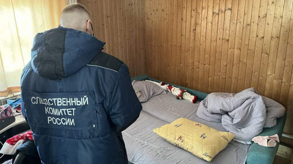 
                    В Амурской области возбудили уголовное дело по факту убийства матерью ребенка

        