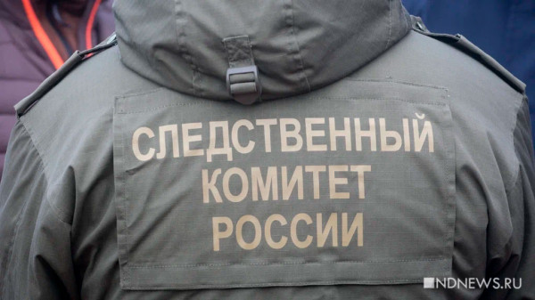 В Башкирии возбуждено дело о халатности после нападения подростка на студентов В Башкирии возбуждено дело о халатности после нападения подростка на студентов