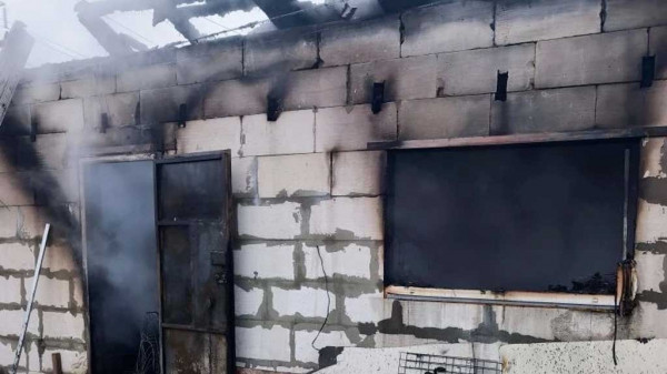 200 собак погибли на пожаре в Нижнем Новгороде