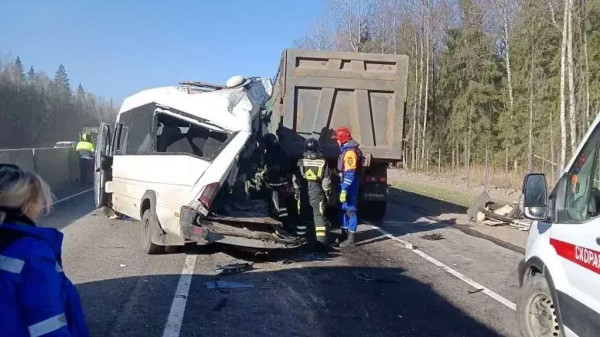 В массовом ДТП в Ленинградской области пострадали 9 человек В массовом ДТП в Ленинградской области пострадали 9 человек