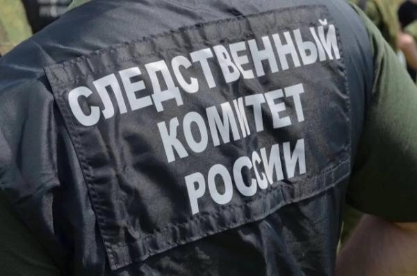 
        СК завел дело после взрыва петарды в руках школьника в Подмосковье    