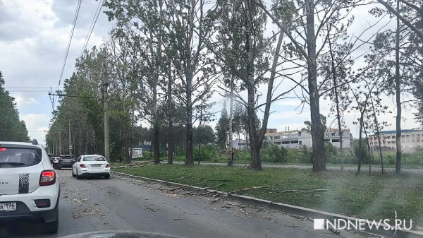 В Екатеринбурге шквалистый ветер повалил забор на прохожего В Екатеринбурге шквалистый ветер повалил забор на прохожего