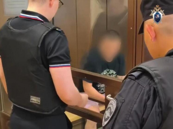 Выяснились новые детали трагедии в Домодедове, где муж на глазах детей зарезал свою супругу
