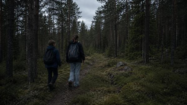 11-летний брат с 13-летней сестрой пропали в Карелии, СК начал проверку