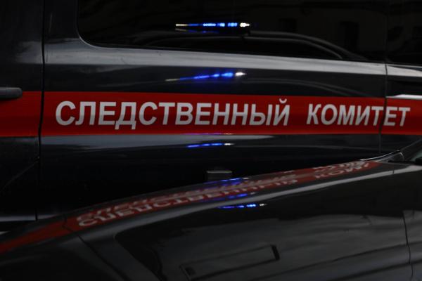 Убитого младенца нашли в Нововоронеже рядом с телом его матери