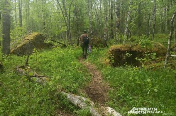 
        Страшная находка в тайге: друг Усольцевых раскрыл детали их пропажи    