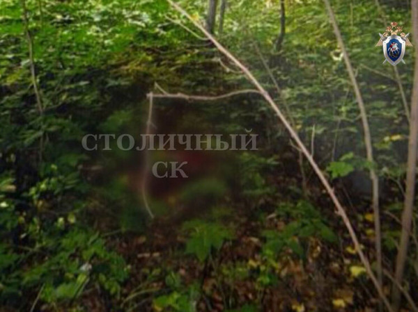 Убийца подруги в московском парке за 13 лет стал многодетным отцом Убийца подруги в московском парке за 13 лет стал многодетным отцом